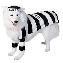 Prisoner Dog Halloween Costume