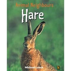 Hare (Animal Neighbours) (Paperback) 
by Michael Leach