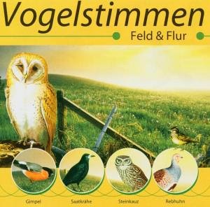 Vogelstimmen: Feld & Flur