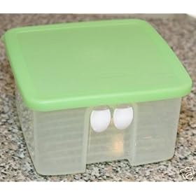 Tupperware Small Fridgesmart Container with Green Seal by Tupperware