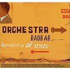 Specialist in All Styles by Orchestra Baobab