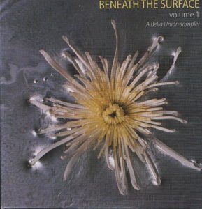 Beneath the Surface
