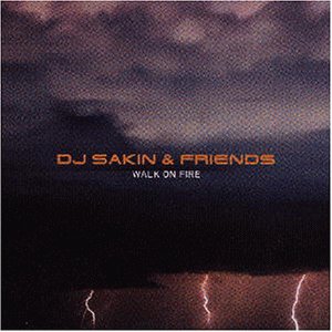 Dj Sakin & Friends - Wait for you Lyrics - Zortam Music