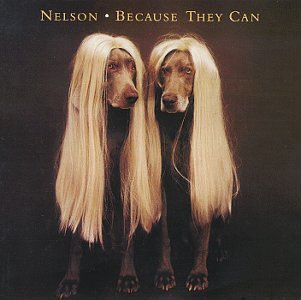 Because They Can by Nelson album cover