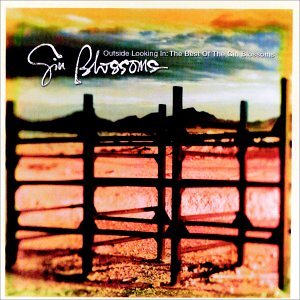 Gin Blossoms - Outside Looking In  The Best Of Gin Blossoms - Zortam Music
