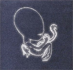 Sigur Rós - Agaetis Byrjun Lyrics - Zortam Music