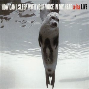 How Can I Sleep With Your Voice in My Head
