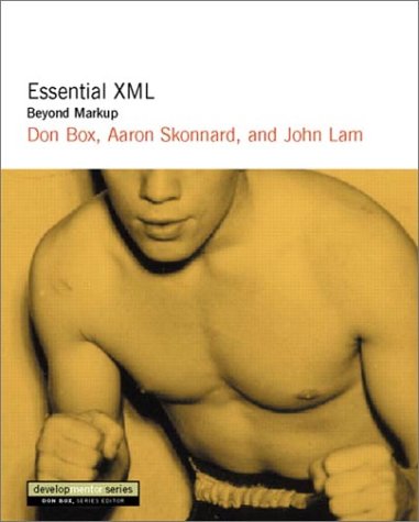 Beyond MarkUp (The DevelopMentor Series)