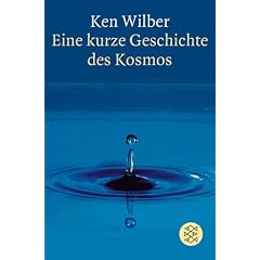 Eine kurze Geschichte des Kosmos. (Taschenbuch)