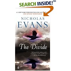 The Divide