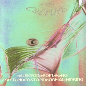 Music for People Who Can't Understand Normal Think