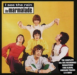 I See the Rain: The CBS Years