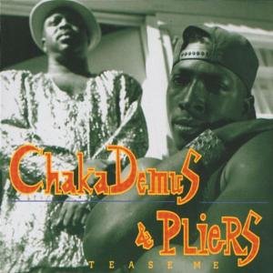 Chaka Demus & Pliers - Chaka Demus & Pliers - I Wanna Be Your Man Lyrics - Zortam Music