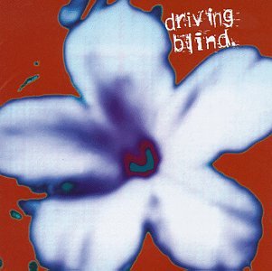 Driving Blind