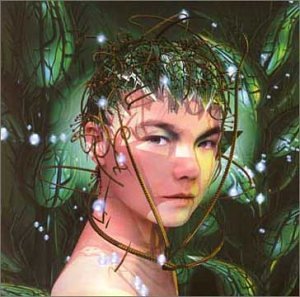 Björk - Bachelorette - Zortam Music