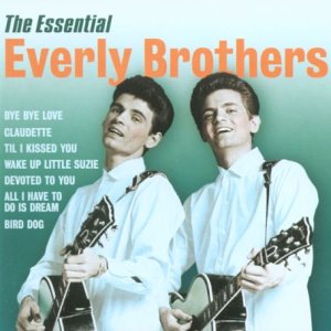Everly Brothers - Simply the Best Party Hits - Zortam Music