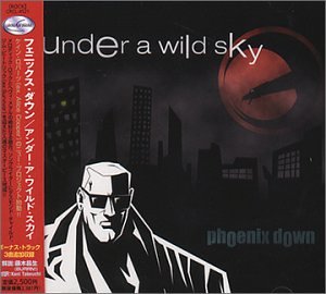 Under a Wild Sky