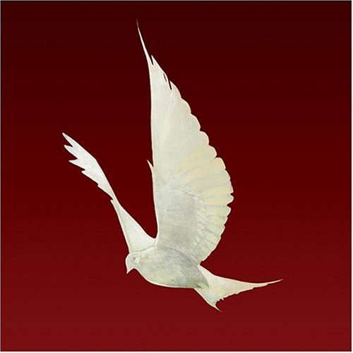 Dove