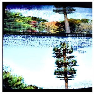 Networks Circuits Streams Harmonies