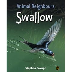 Swallow (Animal Neighbours) (Paperback) 
by Stephen Savage