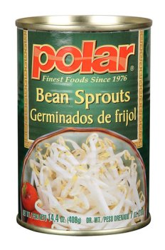 Bean Sprouts