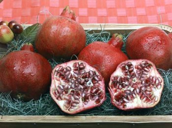 Melissa\'s Fresh Pomegranates, Set of 6