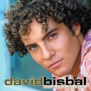David Bisbal - Vuelvo A Ti (Duo Con Chenoa) Lyrics - Zortam Music