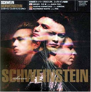 Schweinstein