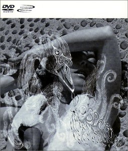 Bjork - Vespertine [Dvd-Audio] [DVD-AUDIO] - Zortam Music