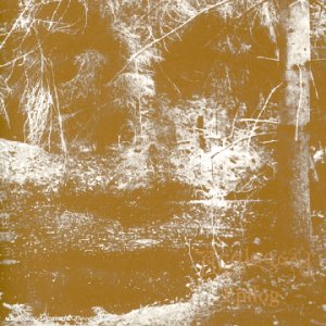 Anglagard - Skogsranden Lyrics - Zortam Music