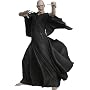Harry Potter Voldemort Action Figure
