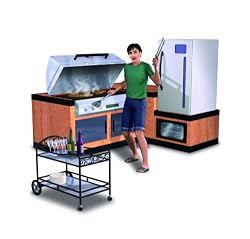 Die Sims 3: Design-Garten-Accessoires