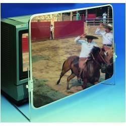 TV Screen Enlarger