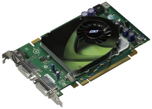 Projektoren: PNY GeForce 8 8600 GT Grafikkarte PCI-Express 256MB DDR3-RAM