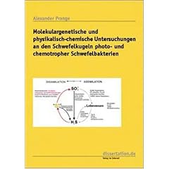 Molekulargenetische und physikalisch-chemische Untersuchungen an den Schwefelkugeln photo- und chemothropher Schwefelbakterien (Taschenbuch)