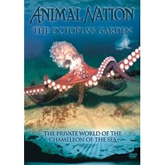 Animal Nation - Octopus Garden 
DVD ~ Animal Nation 