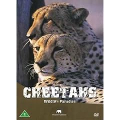 Wildlife Paradise - Cheetahs 
DVD ~ Wildlife Paradise 