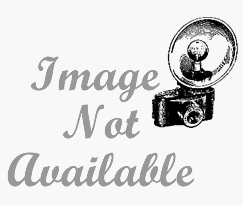 Grey Pneumatic 12 Pc 38in Drive Fractional Set