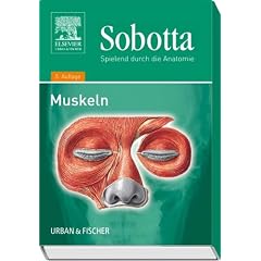 Spielend durch die Anatomie: Sobotta - Spielend durch die Anatomie. Muskeln: 2 (Geschenkartikel)