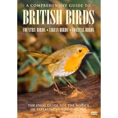 A Comprehensive Guide To British Birds