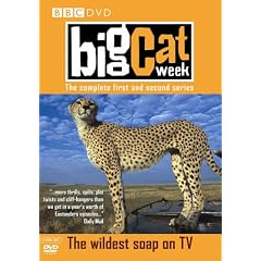 Big Cat Week - Series 1 And 2