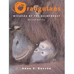 Orangutans: Wizards of the Rainforest