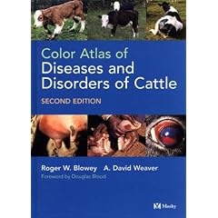 Color Atlas of Diseases and Disorders of Cattle