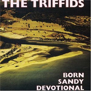 Born Sandy Devotional