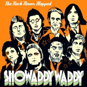 Rock Never Stopped