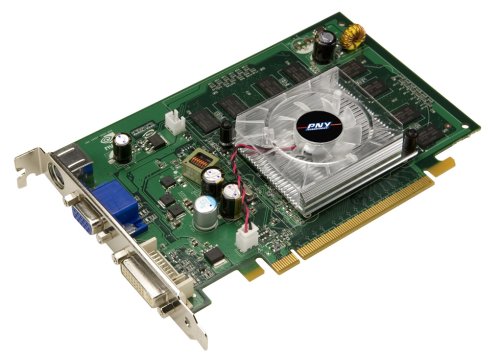 Projektoren: PNY GeForce 8 8500 GT Grafikkarte PCI-Express 256MB DDR2-RAM