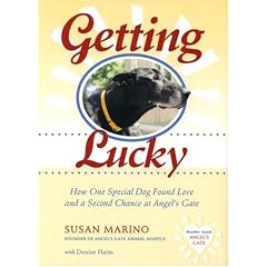 How One Special Dog Found Love and a Second Chance at Angel's Gate