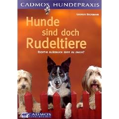 Hunde sind doch Rudeltiere