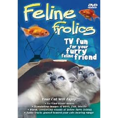 Feline Frolics - TV Fun For Your Furry Feline Friend: £5.99