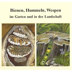 Bienen, Hummeln, Wespen im Garten und in der Landschaft. Honigbienen, Hummeln, Solitärbienen, Wespen und Hornissen (Taschenbuch)